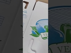 4 Color de alta velocidad de impresión Flexo Slotting máquina de corte a presión para pizzas de hortalizas y frutas